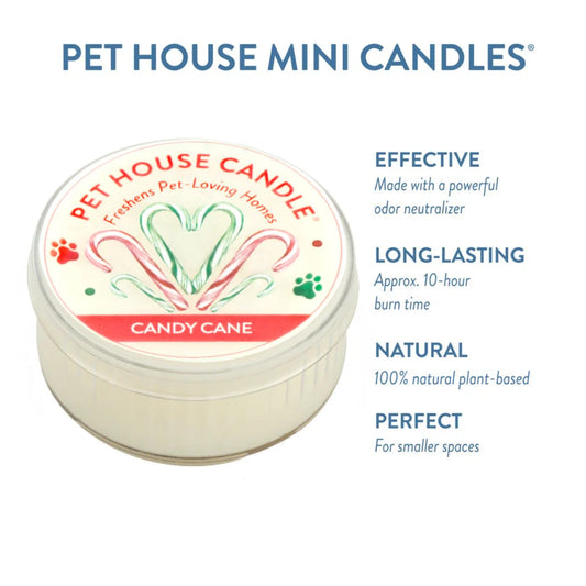 Candy Cane Mini Candle
