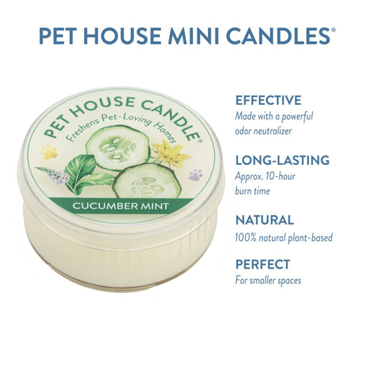 Cucumber Mint Mini Candle
