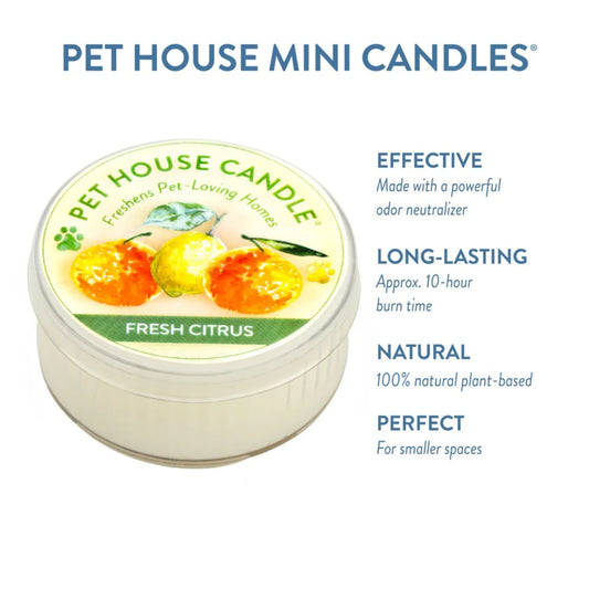 Fresh Citrus Mini Candle