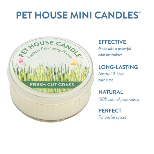 Fresh Cut Grass Mini Candle