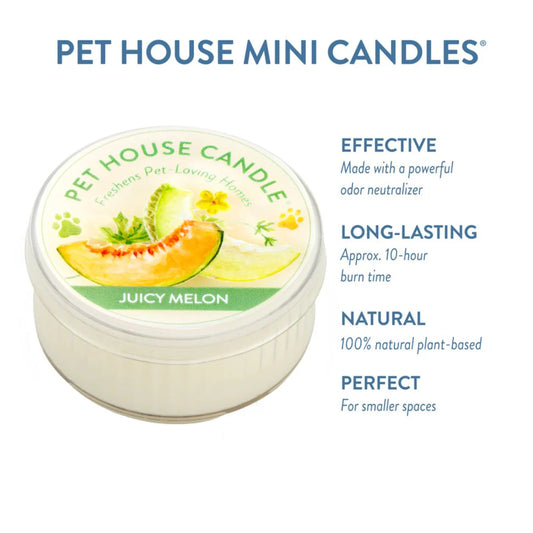Juicy Melon Mini Candle