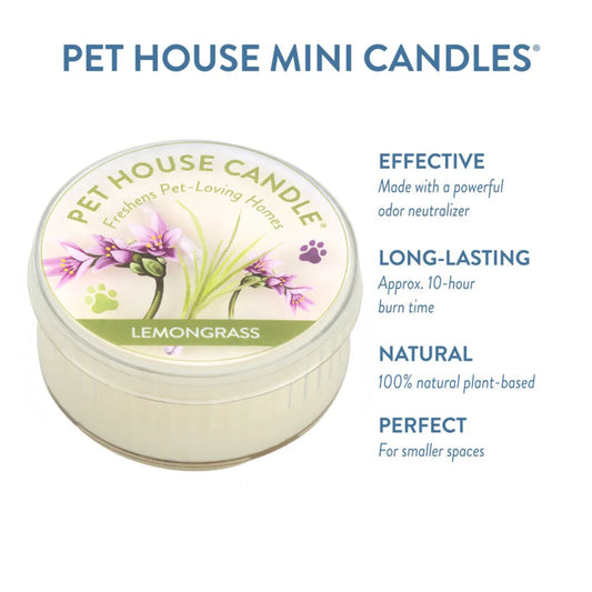 Lemongrass Mini Candle