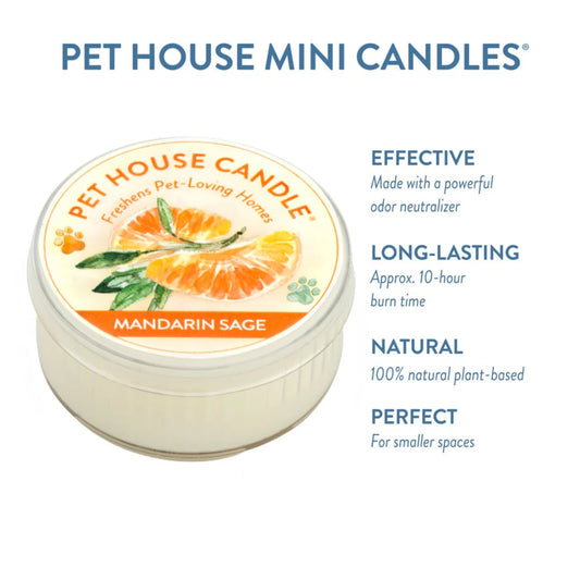Mandarin Sage Mini Candle