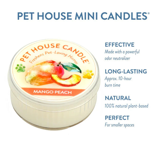 Mango Peach Mini Candle