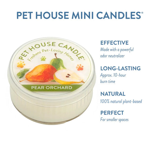 Pear Orchard Mini Candle