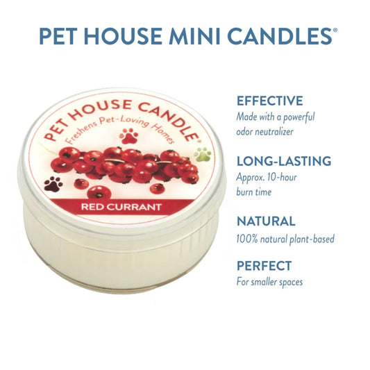 Red Currant Mini Candle