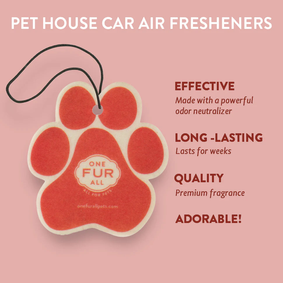 Car Air Fresheners - Case of 12