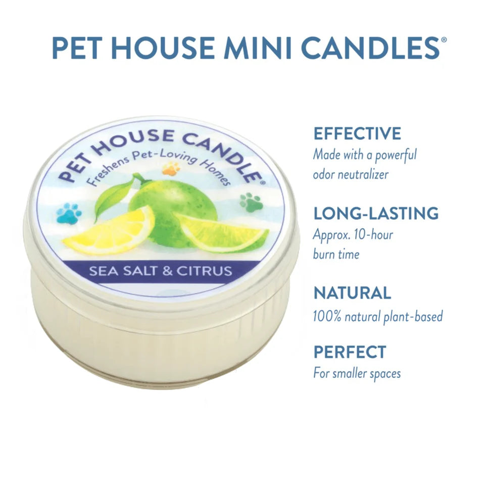 Pet House Mini Candle with sea salt and citrus scent on a white background