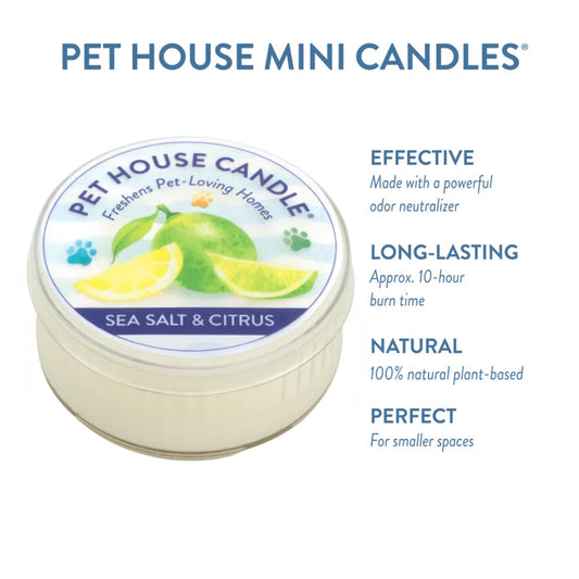 Sea Salt & Citrus Mini Candle