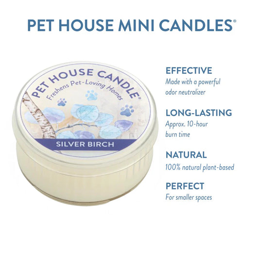Silver Birch Mini Candle