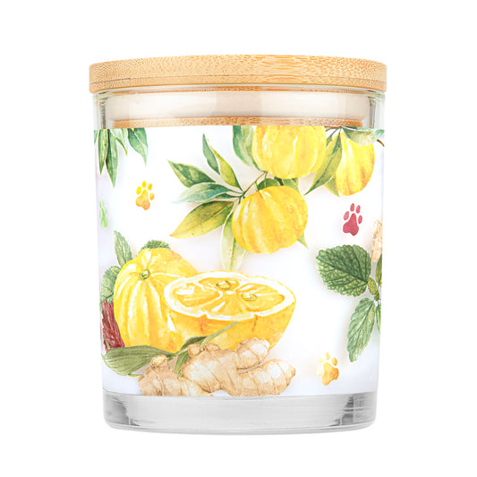 Pet House Candle Yuzu Ginger Back
