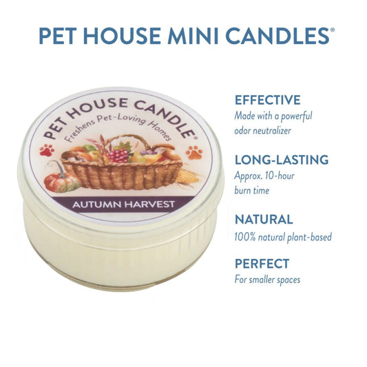 Autumn Harvest Mini Candle