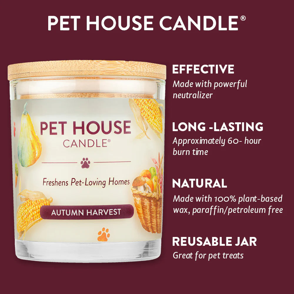 Autumn Harvest Candle
