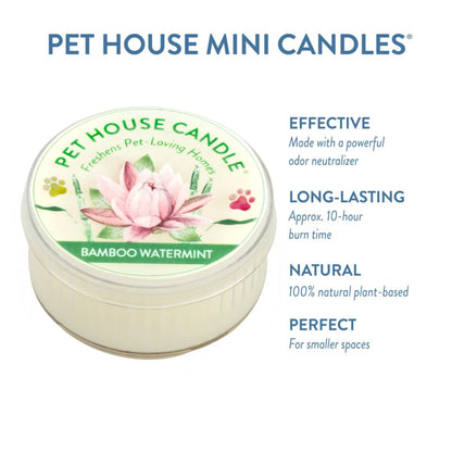 Bamboo Watermint Mini Candle