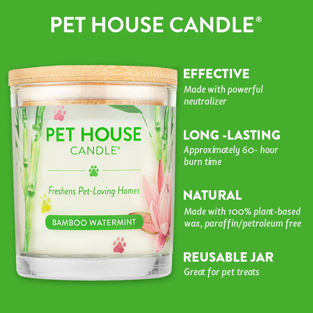 Bamboo Watermint Candle