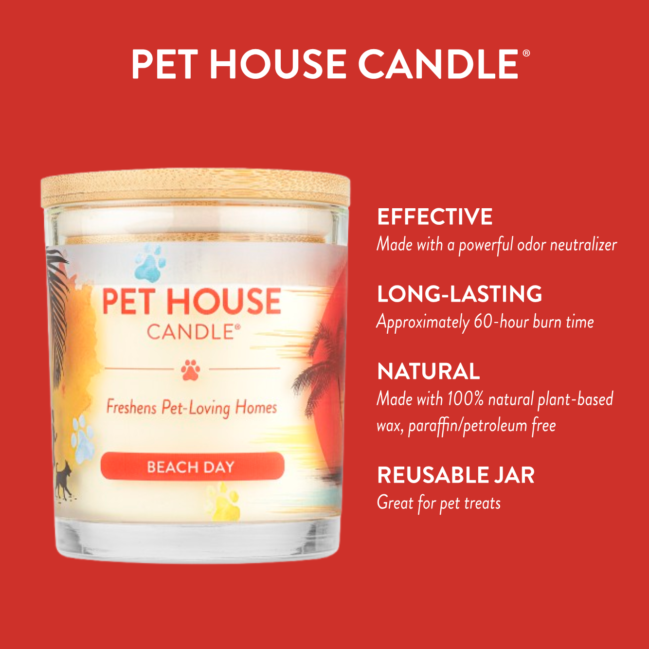 Infographics for Beach Day Candle