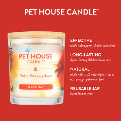 Infographics for Beach Day Candle