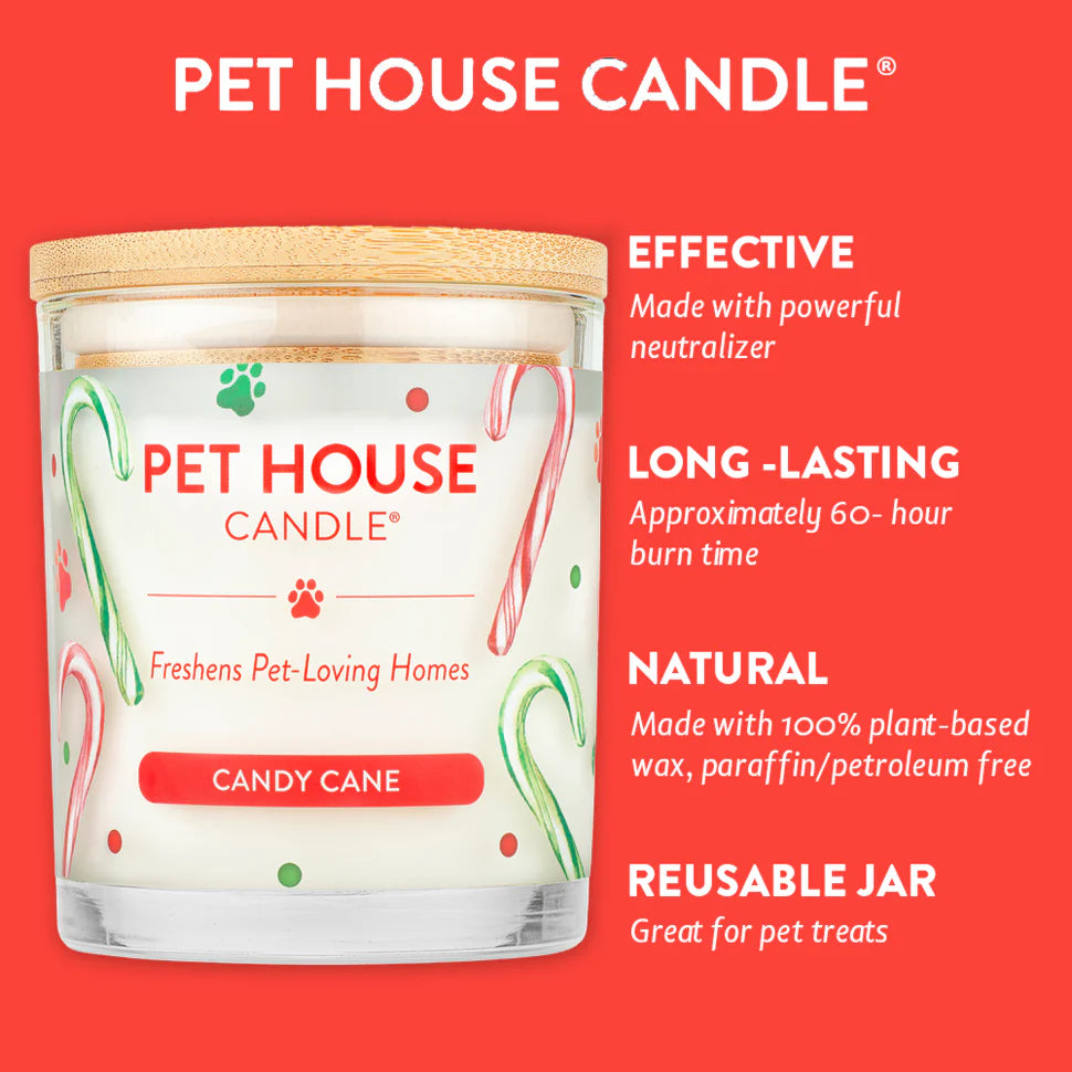 Candy Cane Candle