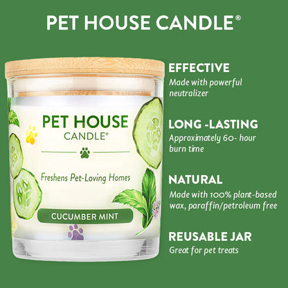 Cucumber Mint Candle