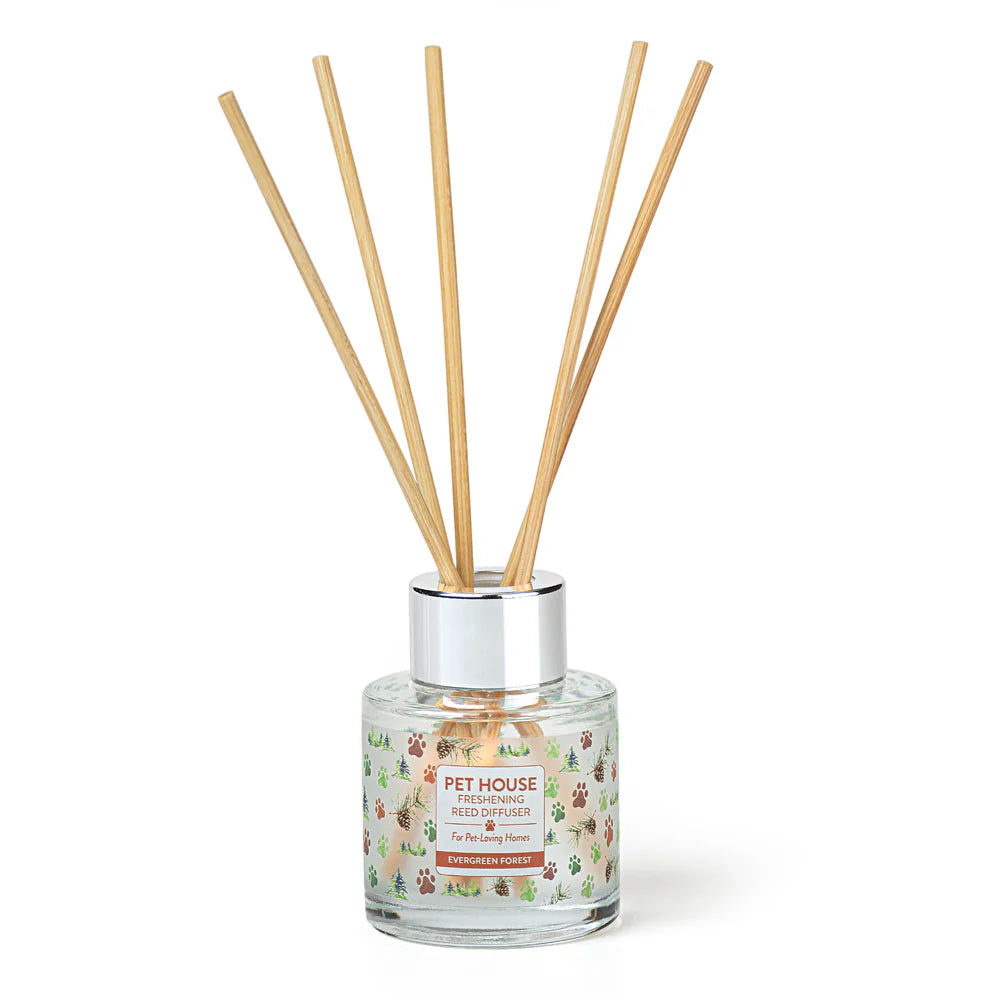 Evergreen Forest Reed Diffuser – Pet House by One Fur All Wholesale