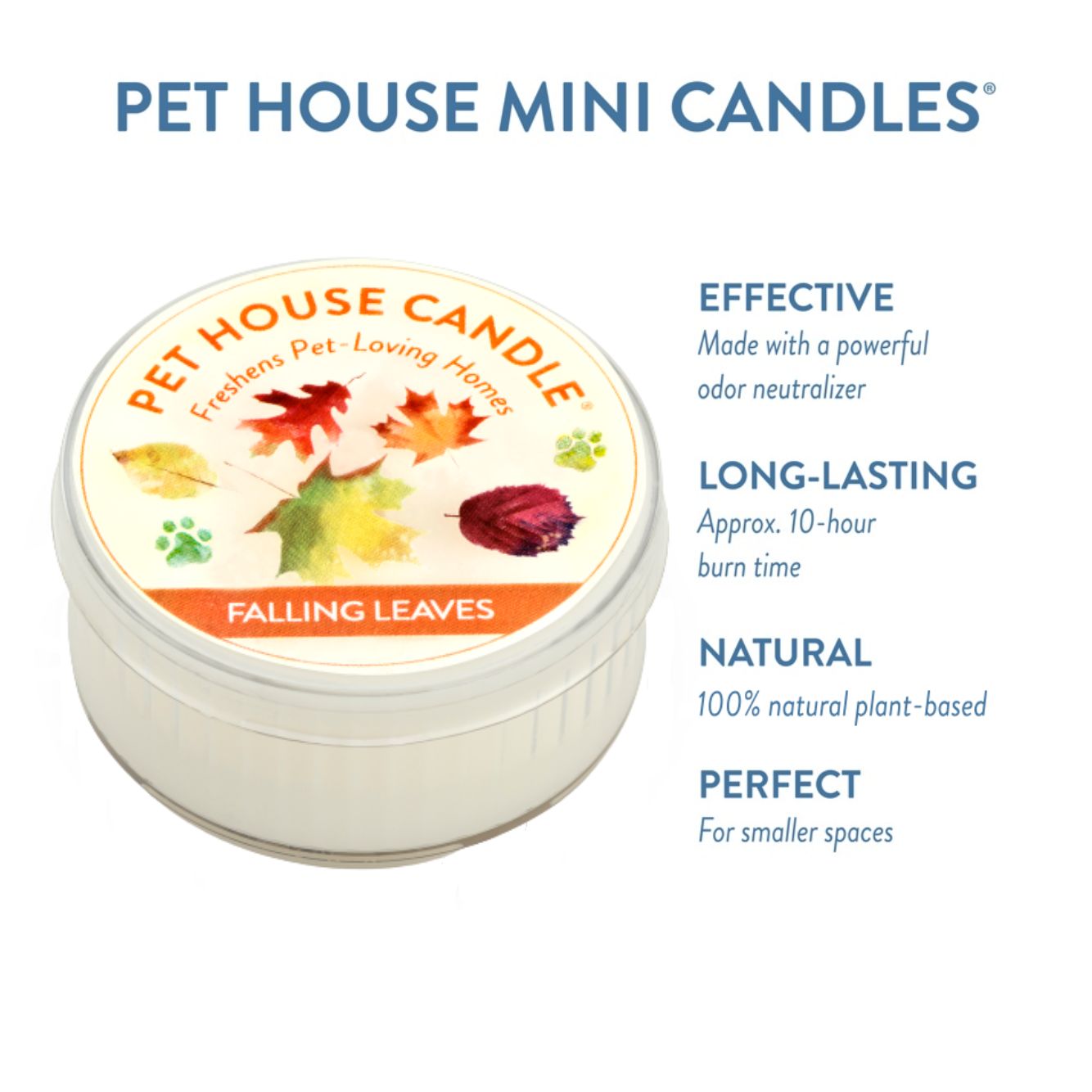 Mini Candles - Case of 12