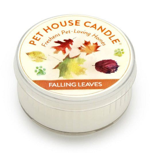 Mini Candles - Case of 12
