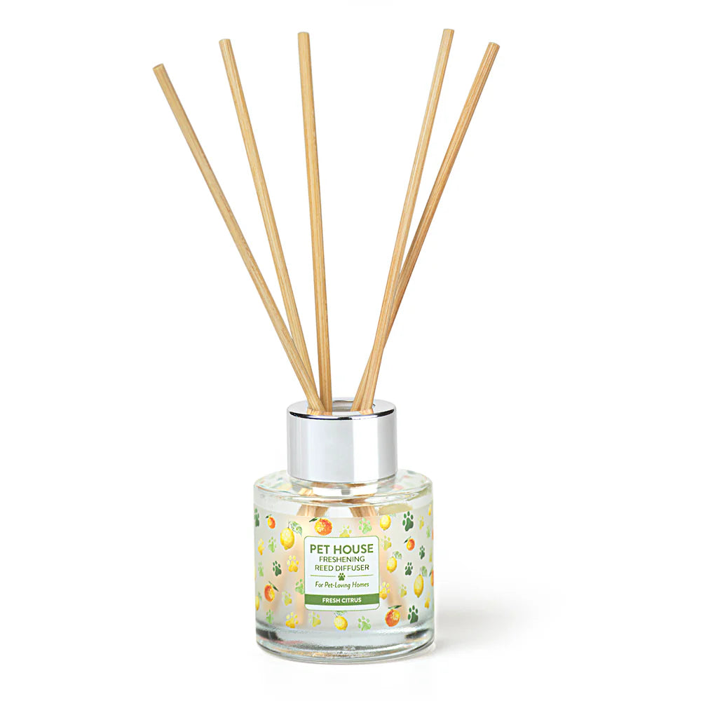 Reed Diffusers - Case of 12