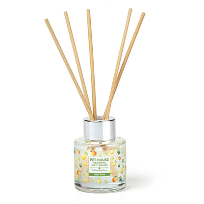 Reed Diffusers - Case of 12