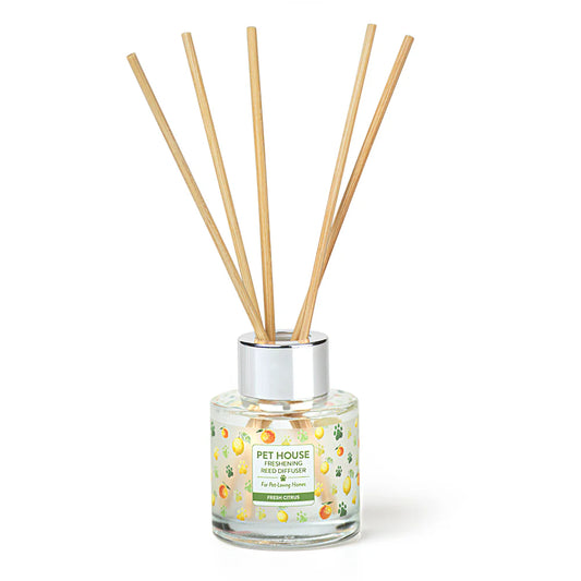 Reed Diffusers - Case of 12