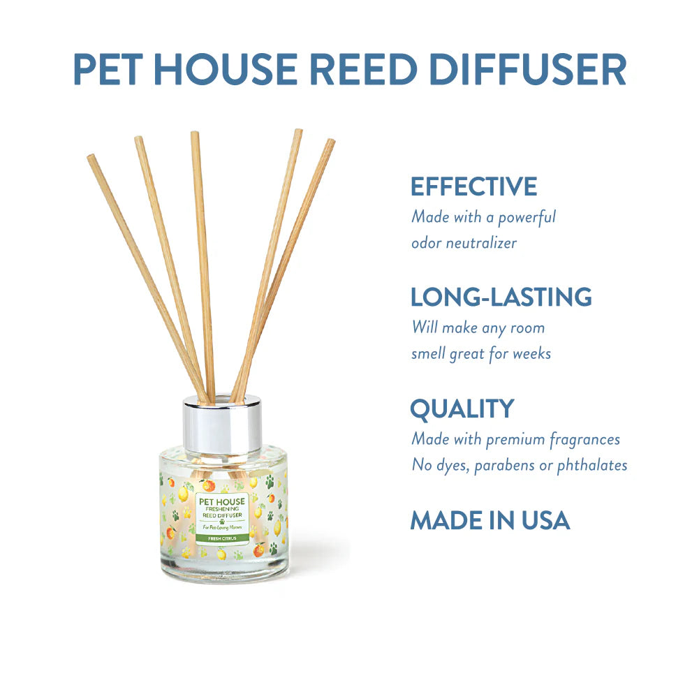 Reed Diffusers - Case of 12