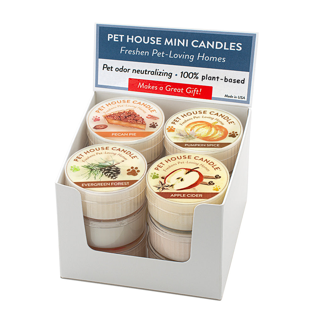 Fall Mini Candle Mixed Case