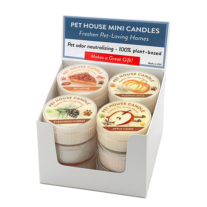 Fall Mini Candle Mixed Case