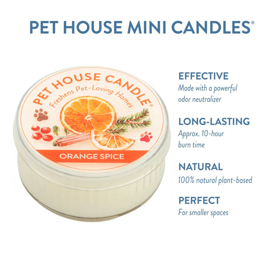 Orange Spice Mini Candle