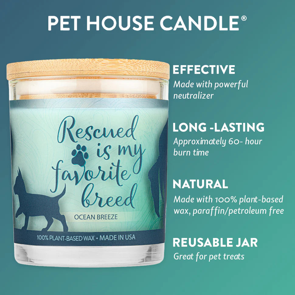 Ocean Breeze Candle