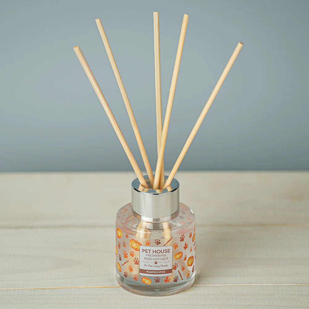 Pumpkin Spice Reed Diffuser