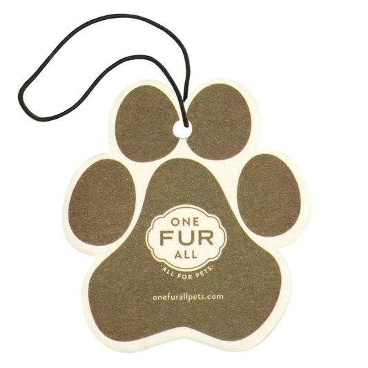 Pumpkin Spice Car Air Freshener