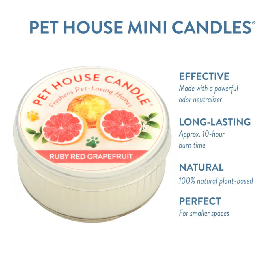 Ruby Red Grapefruit Mini Candle