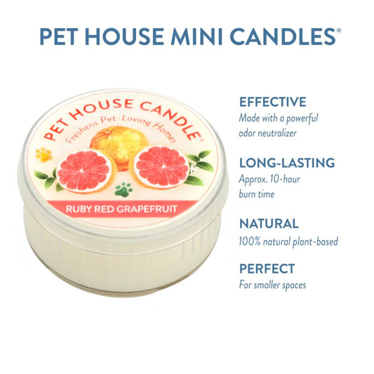 Ruby Red Grapefruit Mini Candle