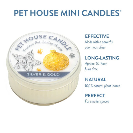 Silver & Gold Mini Candle
