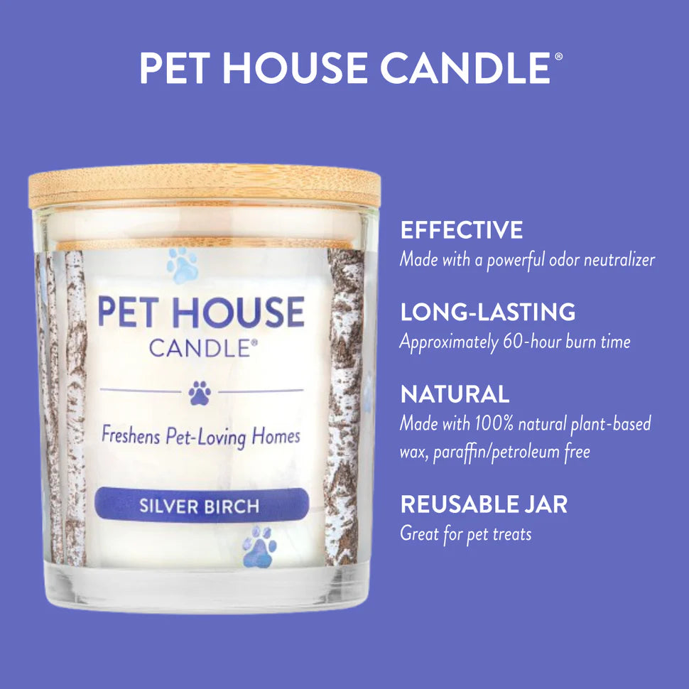Silver Birch Candle
