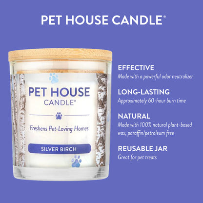 Silver Birch Candle