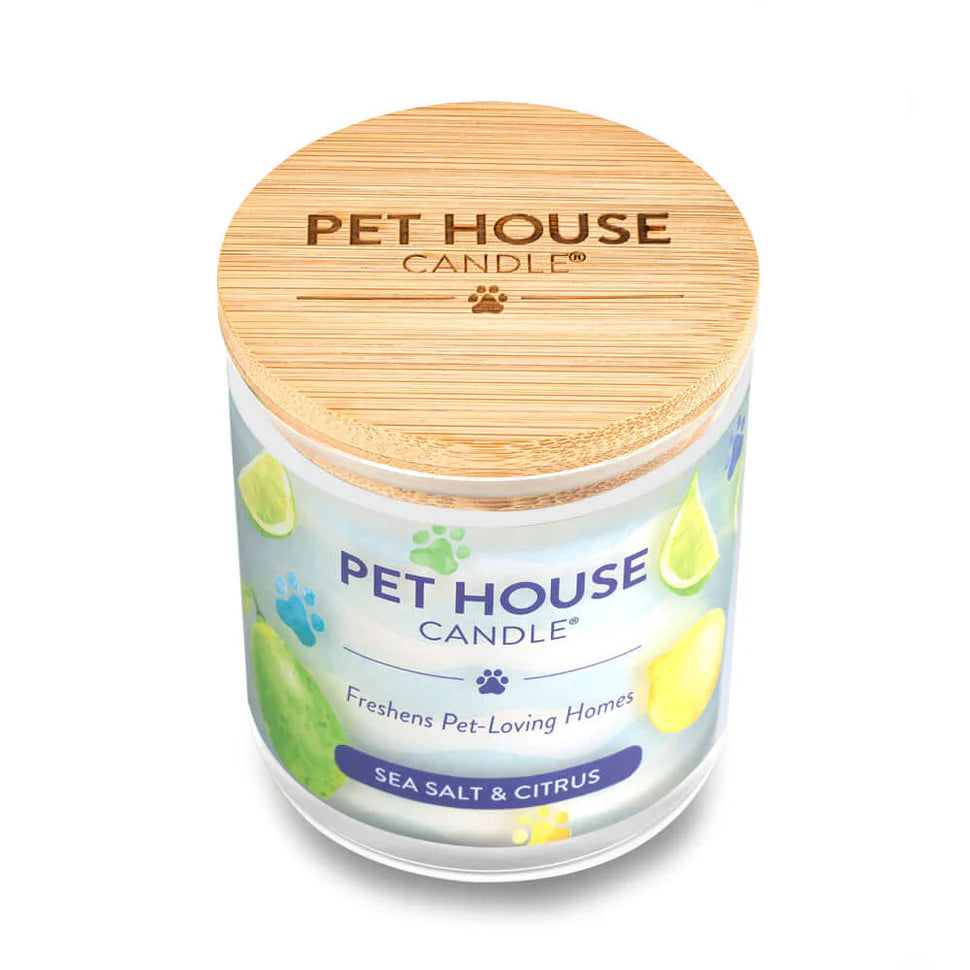 Sea Salt & Citrus Candle