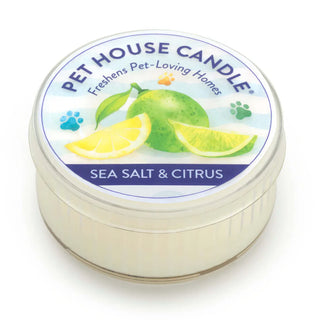 Sea Salt & Citrus Mini Candle