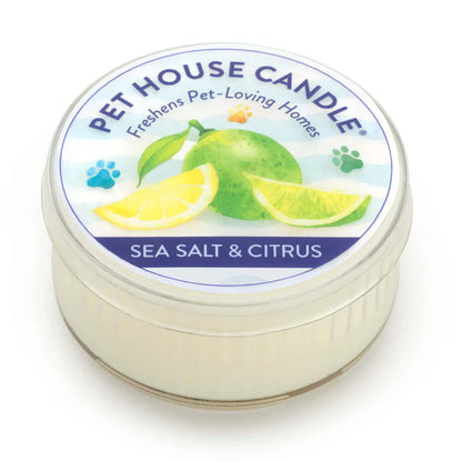 Sea Salt & Citrus Mini Candle