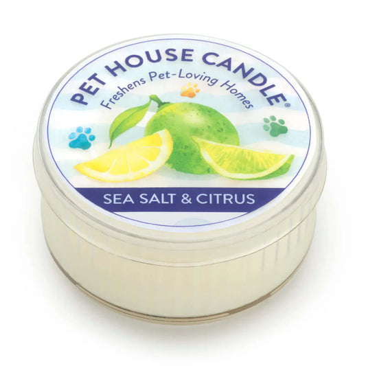 Sea Salt & Citrus Mini Candle
