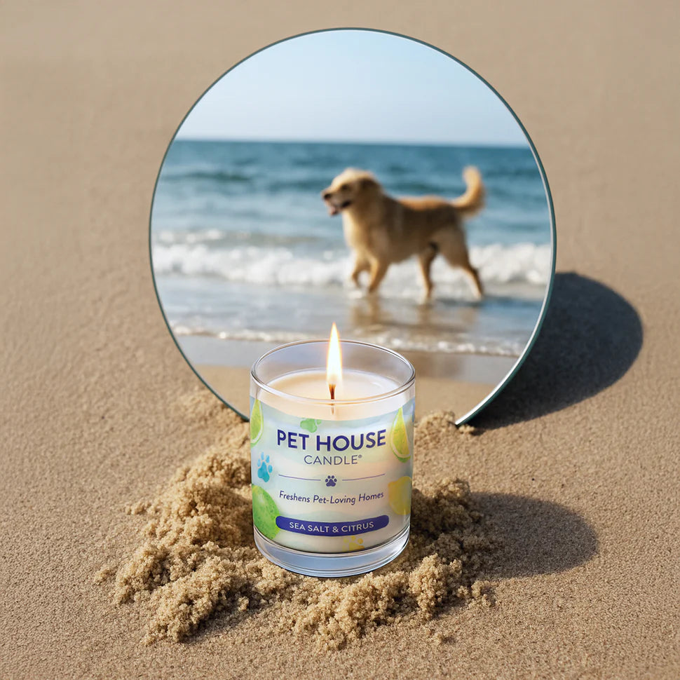 Sea Salt & Citrus Candle