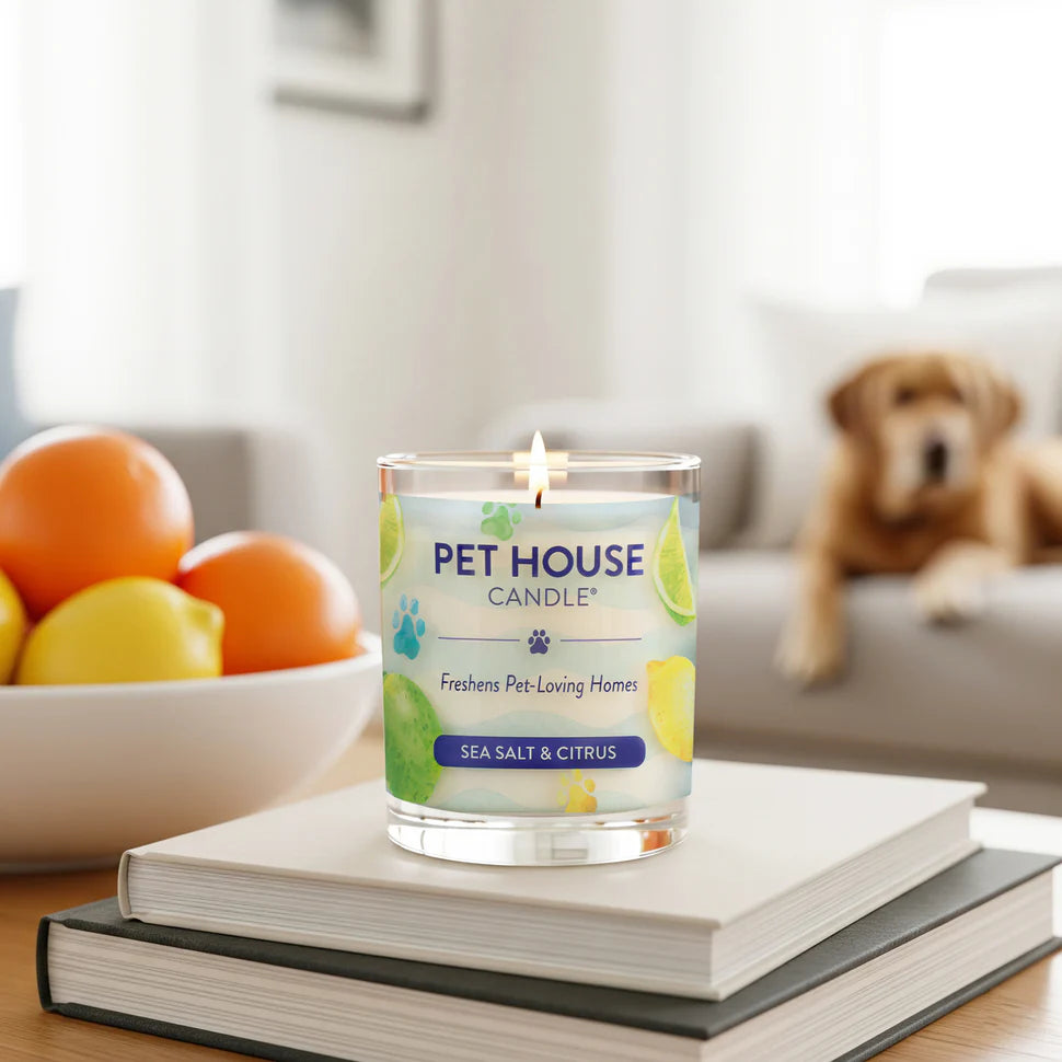 Sea Salt & Citrus Candle