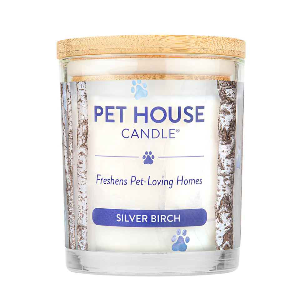 Silver Birch Candle