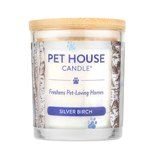 Silver Birch Candle