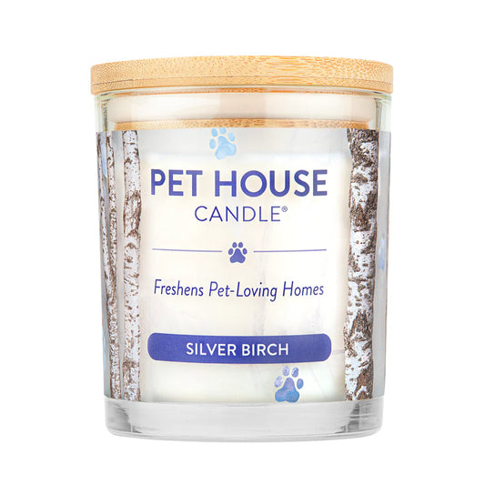 Silver Birch Candle
